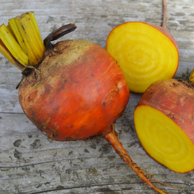 Betterave à salade jaune (250g)